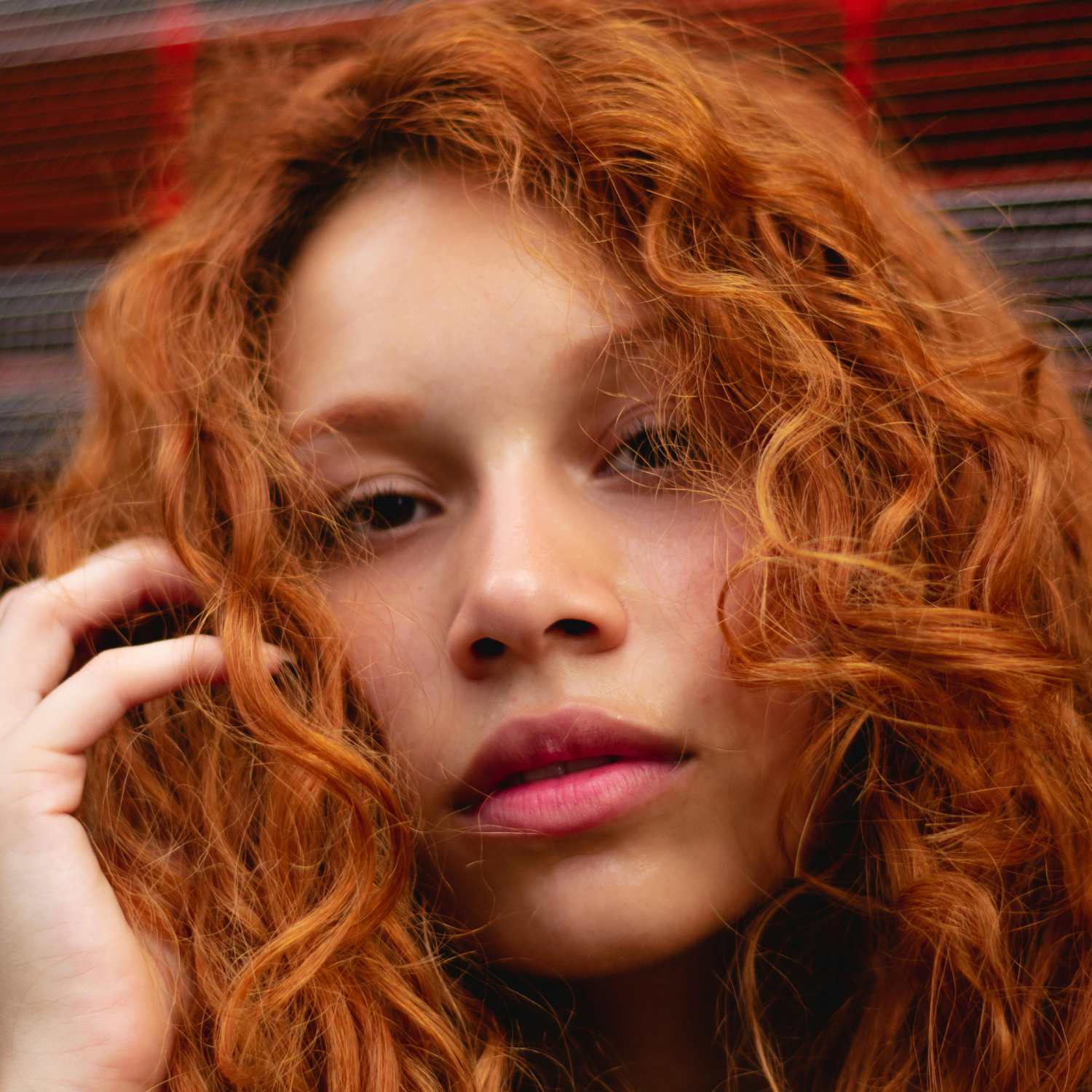 Our Approach to Eyes & Brows | Tara Rose Salon