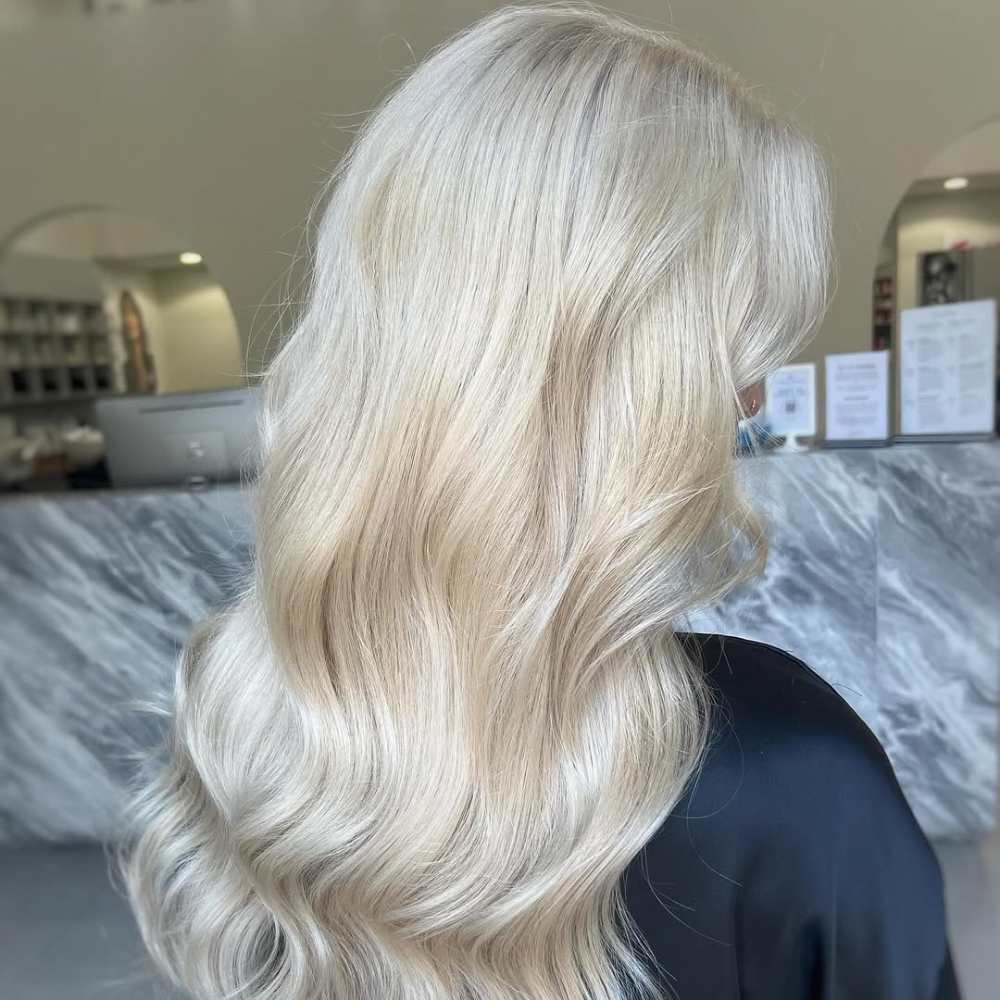 The Signature Tara   Blow-Dry at Tara Rose Salon