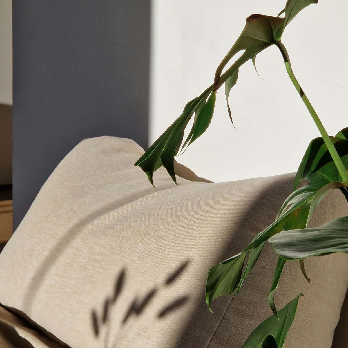 Environmental Wellness at Tara Rose Salon | Tara Rose Salon