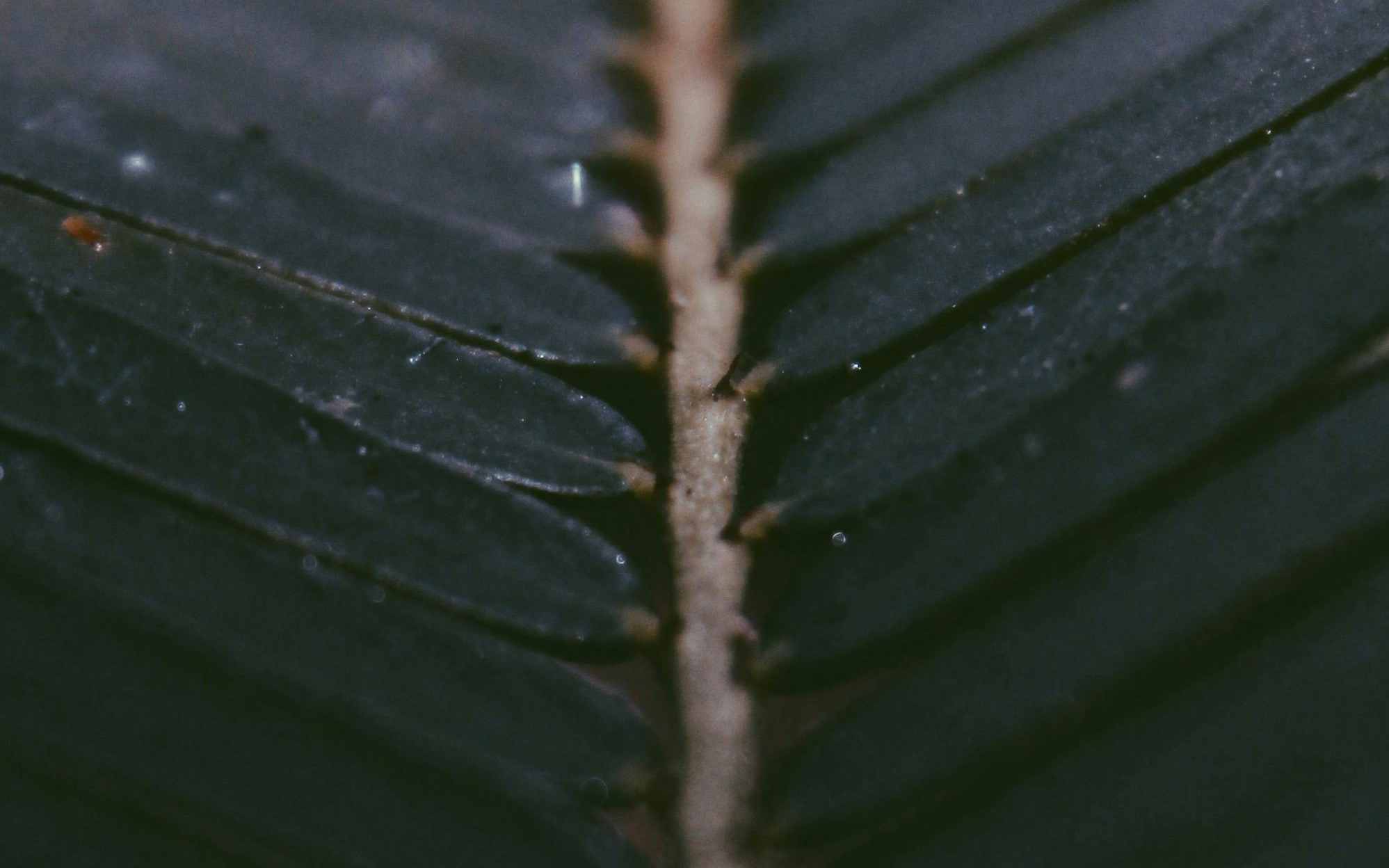 Environmental Wellness - Create Spaces That Support You